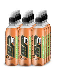 MP3 CARB CHARGER/ GLUCIDE... 2