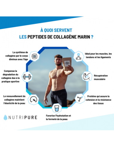 COLLAGENE MARIN SAUVAGE 310G NUTRIPURE